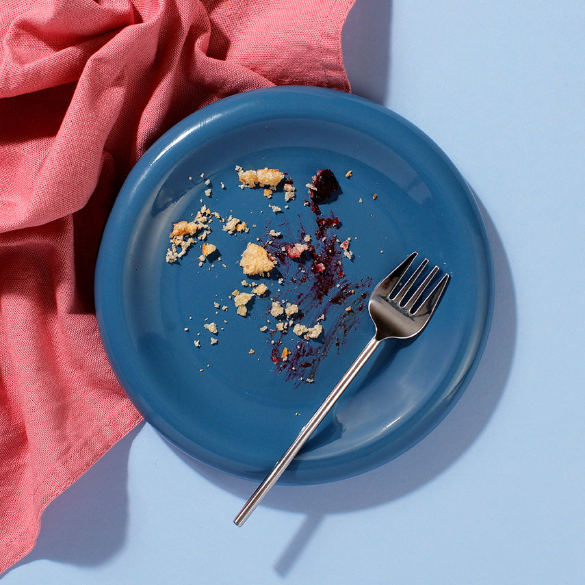 A plate with crumbs on it and nothing else - the remains of one of our delicious Blueberry Lemon Tarts
