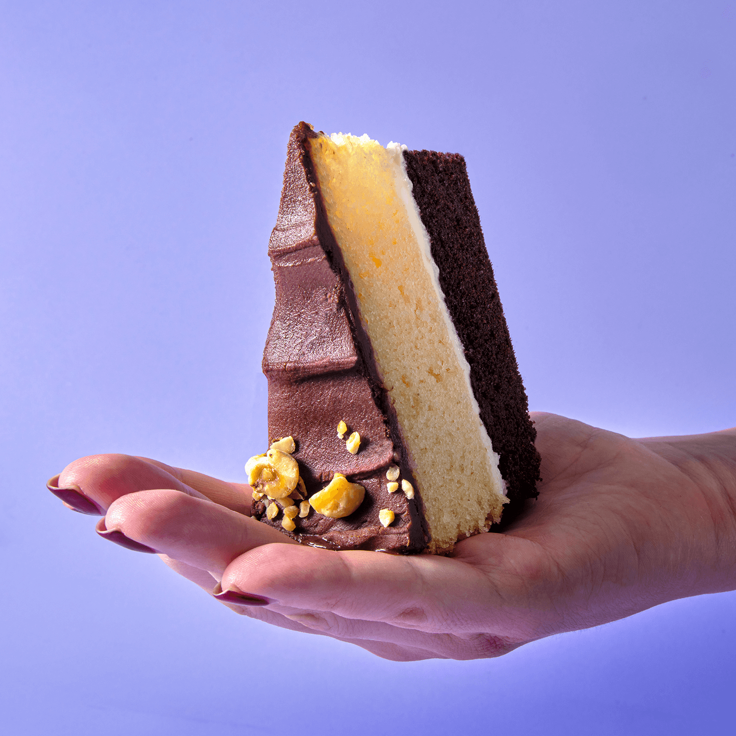 Layered Praline Ganache Cake